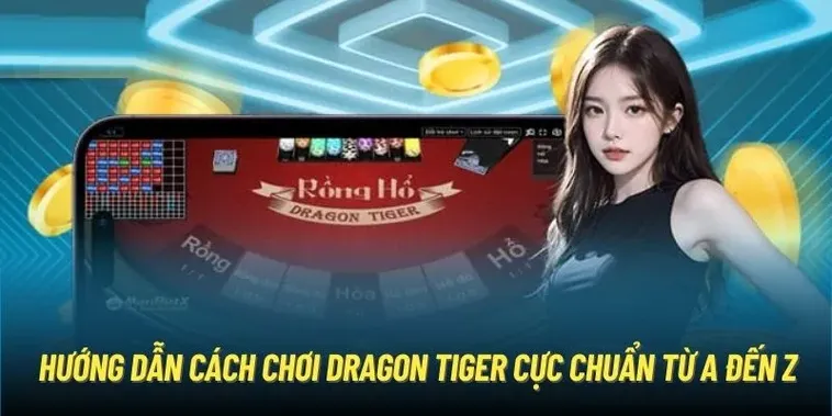 Hướng Dẫn Tham Gia Dragon Tiger Tại SP666 Chi Tiết